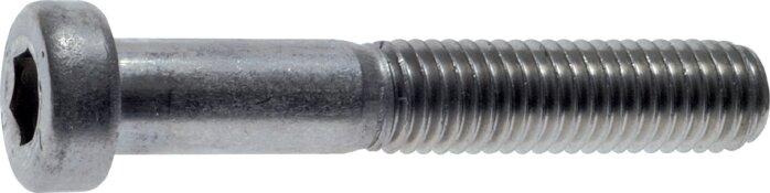 Exemplary representation: Hexagon socket screw DIN 6912 (stainless steel A2)