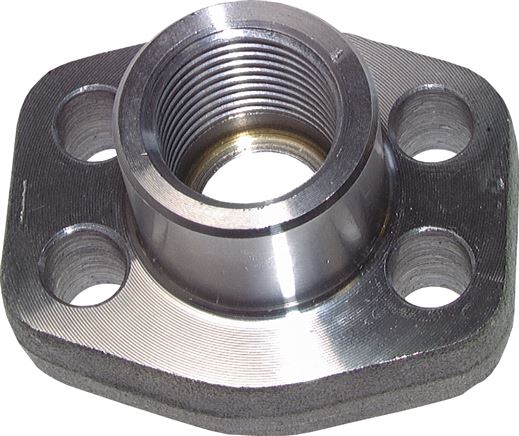 Exemplary representation: SAE flange with female thread, bright steel