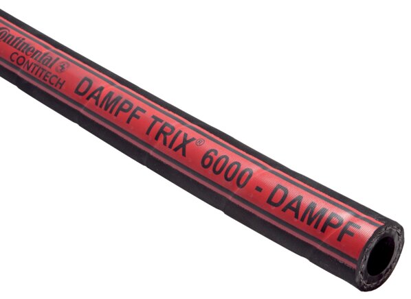 Exemplary representation: DAMPF-TRIX® steam hose