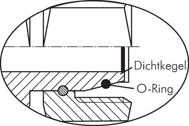Detailansicht: Dichtkegel mit O-Ring